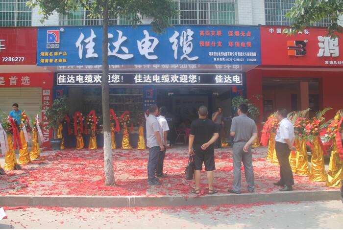 湖南91视频网站免费看电线电缆有限公司,91视频网站免费看电线电缆,91视频直播APP系列,控制电缆,电线电缆企业哪里好